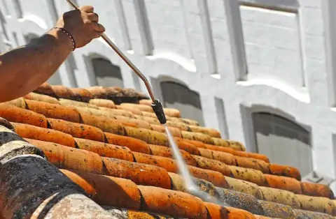 Nettoyage de toitures - La Motte-Saint-Martin